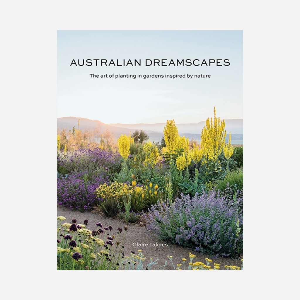 Australian Dreamscapes Claire Takacs