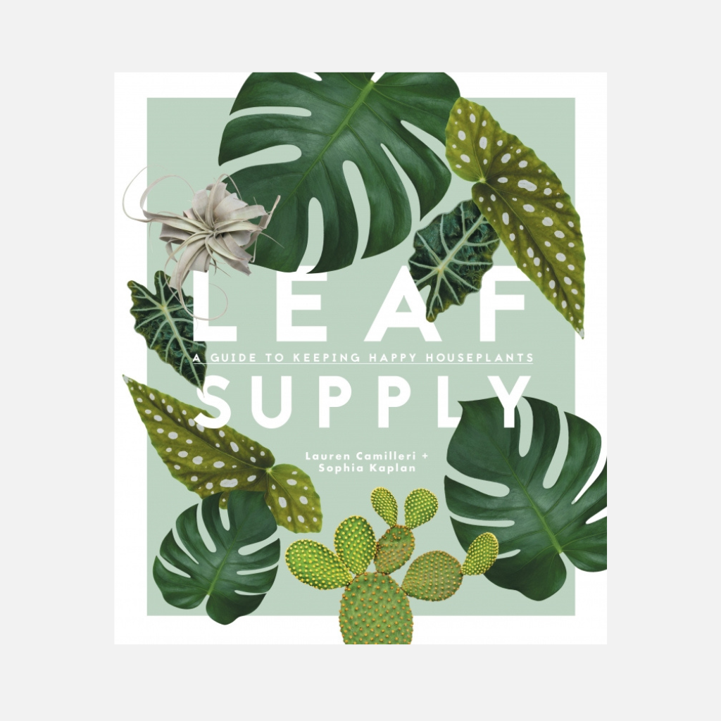 Leaf Supply Lauren Camilleri
