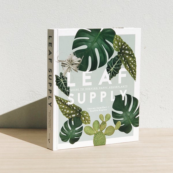 Leaf Supply - Lauren Camilleri